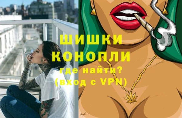 сатива Сосновый Бор